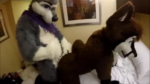 Gay Furry Hentai Porn - Gay furry hentai Porn Videos watch online or download