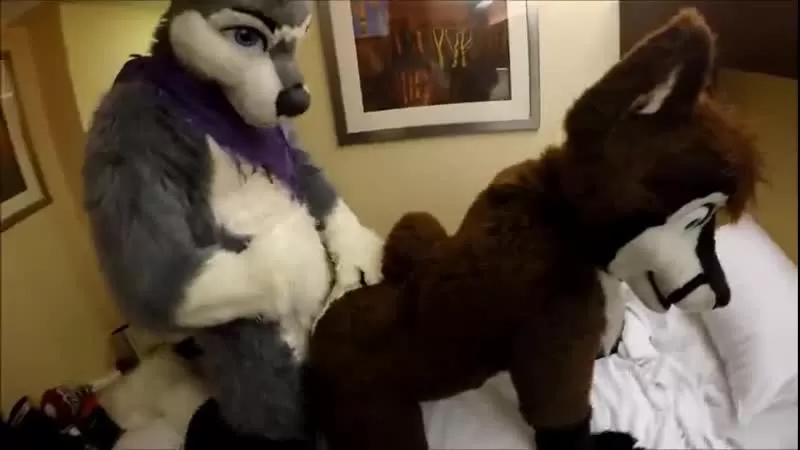 Xxx Fursuit Porn - Gay Furry Dreams 24 watch online or download