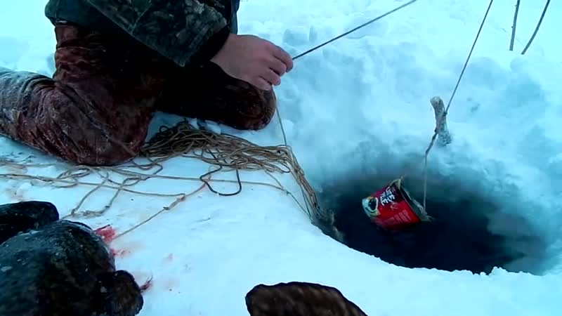 Это не диалоги о рыбалке видео. Это не диалоги о рыбалке. Это не диалоги о рыбалке последние. Это не диалоги о рыбалке новое. Это не диалоги о рыбалке 2019 г.последнее.