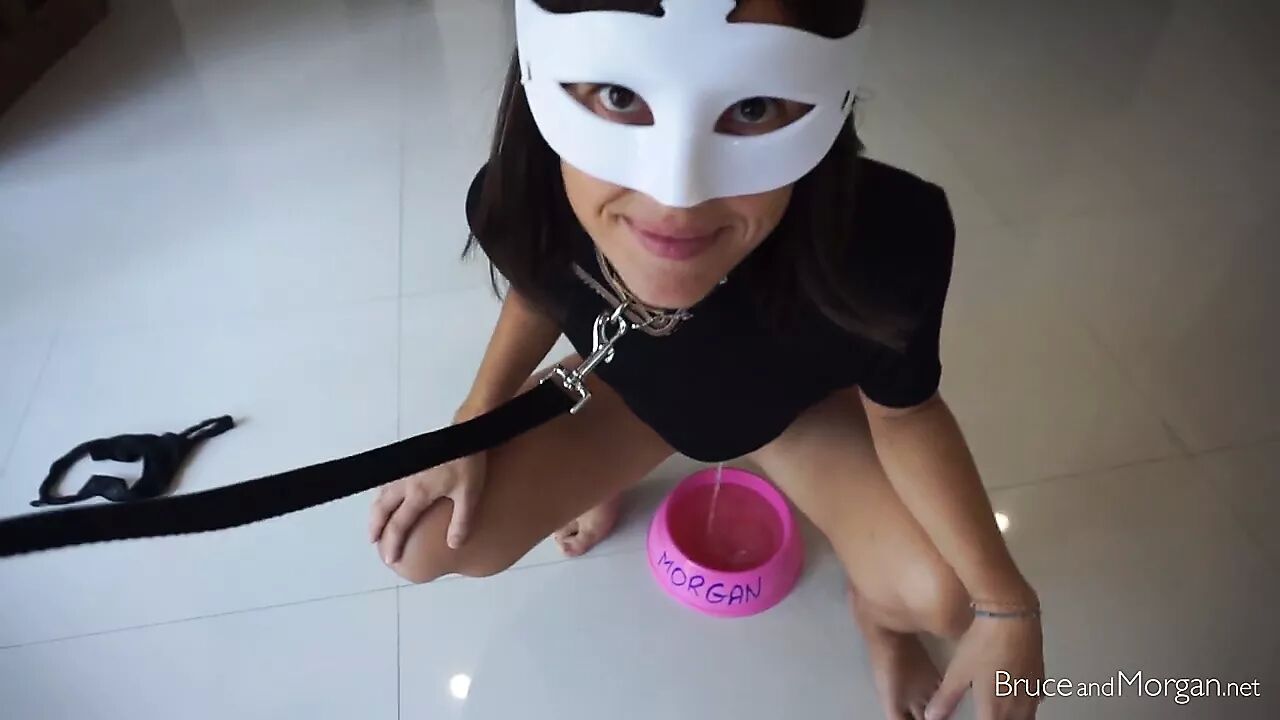 Catwoman Dog Porn - Piss and Cum Leashed Girlfriend Drinks out of a Dog Bowl watch online or  download