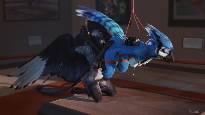 800px x 450px - Furry yiff bird bdsm watch online or download