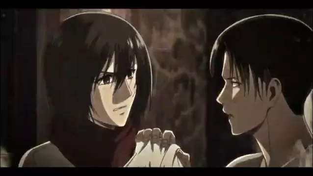 Levi x Mikasa