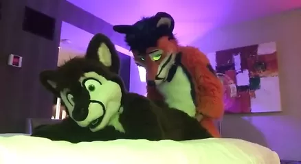 Furries Porn Fucking - Two Gay Furries Fucking 2 gay watch online or download