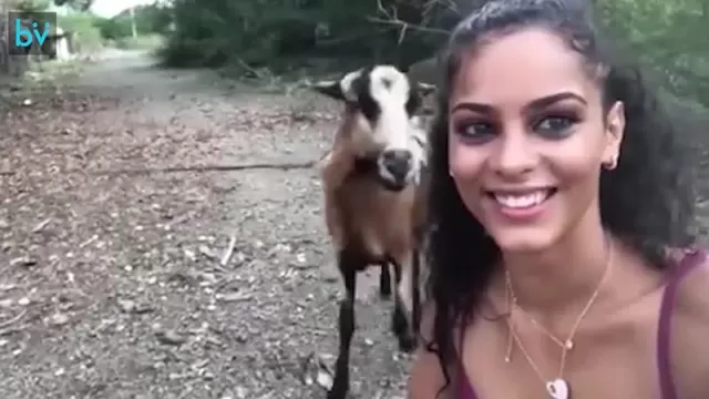 зоофилы трахают козу групповой зоо секс